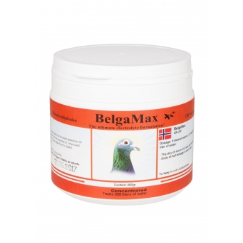 PIGEON VITALITY Belgamax - super elektrolit dla gołębi 400g