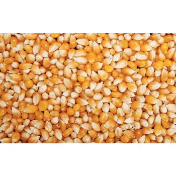 Kukurydza żółta - dla gołębi 1 kg
