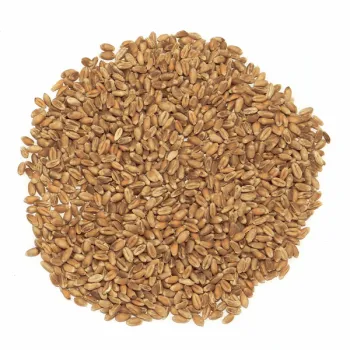 Pszenica paszowa dla gołębi kur i innych ptaków, worek 25 kg