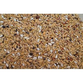 Karma Gold Wings Faza 1 dla gołębi 20 kg