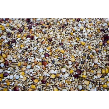 Karma Gold Wings SW Super wdowce dla gołębi 20 kg