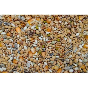 Karma Gold Wings Faza 2 dla gołębi 20 kg