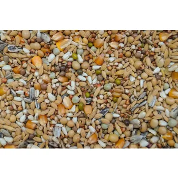 Karma Gold Wings Faza 2 dla gołębi 20 kg