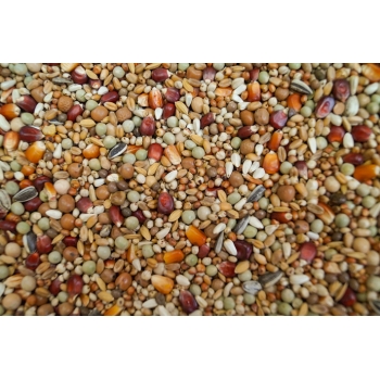 Gold Wings Karma RX Rozpłodowa Extra dla gołębi 20 kg