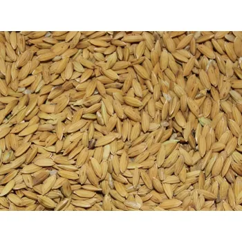 Ryż paddy dla gołębi, papug, gryzoni 5 kg