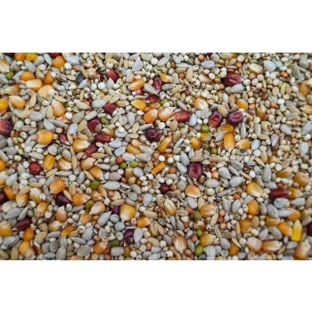 Gold Wings Karma Energetyczna Sport dla gołębi 20kg