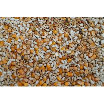Gold Wings Karma Lekostrawna Extra dla gołębi 20kg