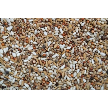 GOLD WINGS Karma SD Super Dieta dla gołębi 20 kg