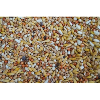 Gold Wings Karma Dieta dla gołębi 20 kg