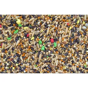 Karma Kanarek Uniwersalna z witaminami 10 kg