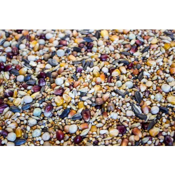 Gold Wings Karma Pierzenie P-20 dla gołębi 25 kg