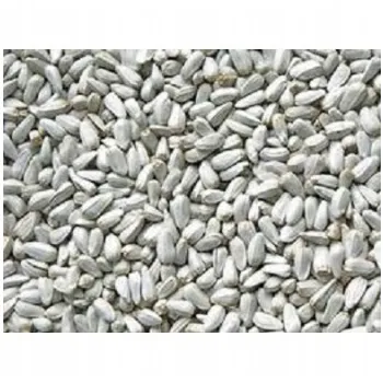 Kardi egipskie dla gołębi, papug, gryzoni 1kg