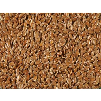 Len Siemie Lniane dla gołębi, papug, gryzoni 1kg