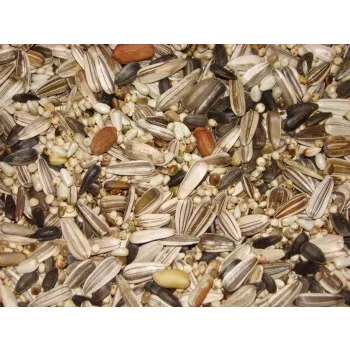 Karma Papuga Duża z pestkami dynii i orzeszkami