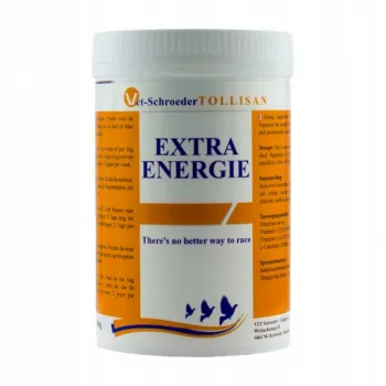 TOLLISAN Extra Energie - dodatkowa energia 300 g