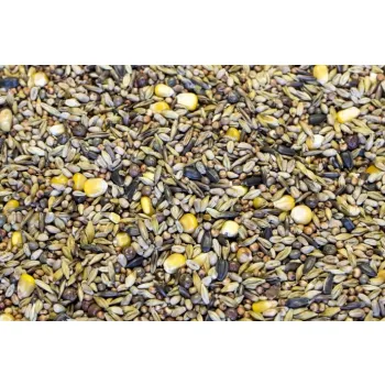 Gold Wings Karma Zimowa z czarnym owsem 25 kg