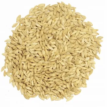 Jęczmień browarny dla gołębi i ptaków, worek 25 kg