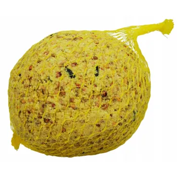 Pyza dla dzikich ptaków Kula tłuszczowa dla ptaków zimujących 500g x 10 szt