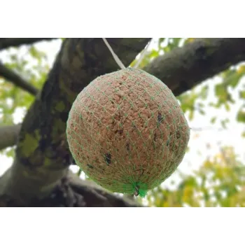 Pyza dla dzikich ptaków Kula tłuszczowa dla ptaków zimujących 500g x 10 szt