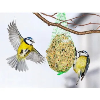 Kula tłuszczowa dla sikorek pokarm karma dla dzikich ptaków zimujących- 90g