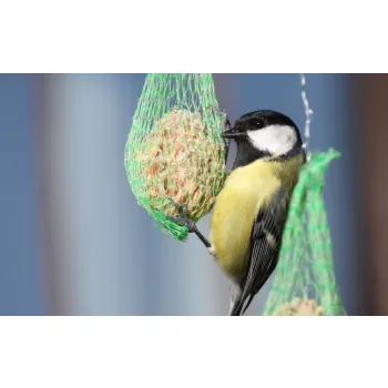 Kula tłuszczowa dla sikorek pokarm karma dla dzikich ptaków zimujących- 90g