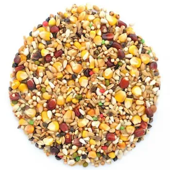 Elpol karma BS+ Bez Strączkowa Plus dla gołębi 25 kg