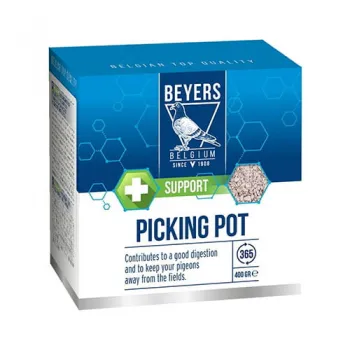 BEYERS Pikpot Picking pot Minerały Kamień w miseczce czerwony 400 g