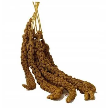 Versele Laga Milletsprays Proso senegalskie żółte w kłosach 300g