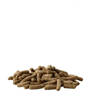 Versele Laga Cavia Complete 500g - karma granulat dla świnki morskiej