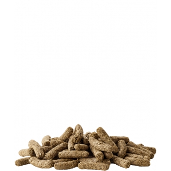 VL-Cuni Adult Complete ekstrudat dla królików 2 kg rozważany