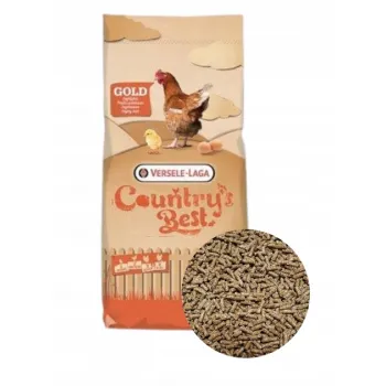 Karma granulat dla kur niosek Versele Laga Gold 4 Pellet 20kg