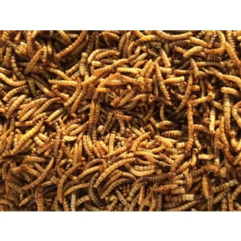 Delli Nature Mącznik młynarek suszona larwa przysmak ptaki papugi 700g