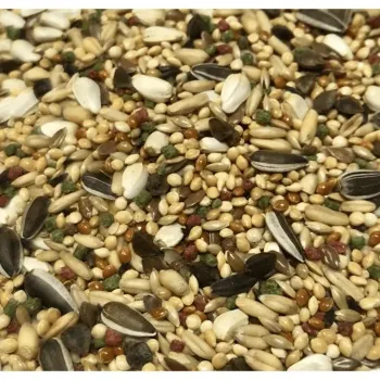 Versele Laga pokarm dla średnich papug nimfa, rozella Prestige Mix 2,5 kg