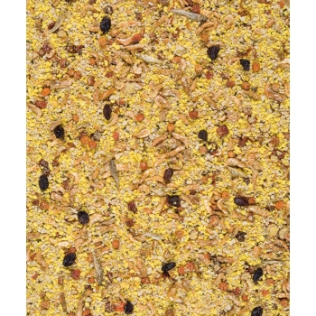 Pokarm jajeczny suchy dla średnich i dużych papug 0,8 kg Orlux Eggfood