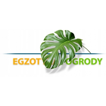 Pokarm jajeczny suchy dla średnich i dużych papug 0,8 kg Orlux Eggfood