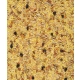 Pokarm jajeczny suchy dla średnich i dużych papug 0,8 kg Orlux Eggfood