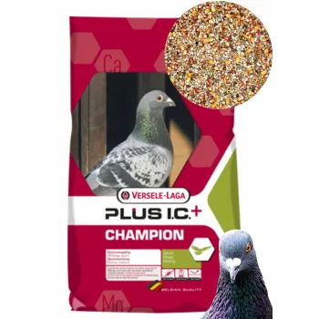 Versele Laga Champion Plus karma lotowa dla gołebi 20kg