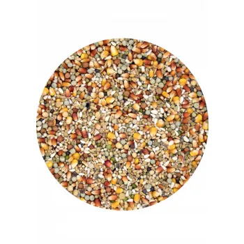 Versele Laga Champion Plus karma lotowa dla gołebi 20kg