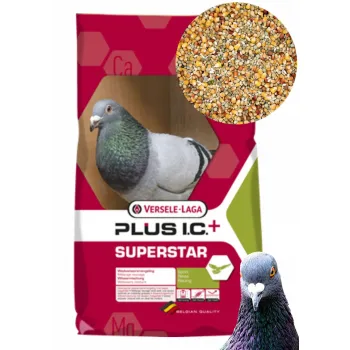 Versele Laga Superstar Plus lotowa dla wdowców karma dla gołębi 20kg