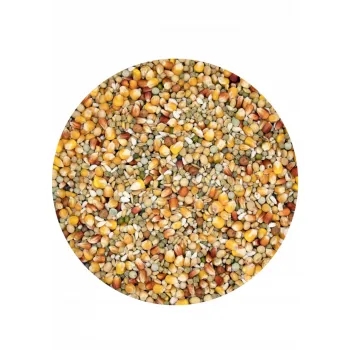 Versele Laga Superstar Plus lotowa dla wdowców karma dla gołębi 20kg