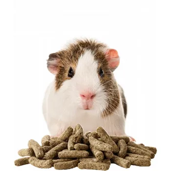 Versele Laga Cavia Complete 1,75 kg - karma granulat dla świnki morskiej