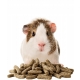 Versele Laga Cavia Complete 1,75 kg - karma granulat dla świnki morskiej