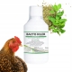 BACTO KILER 250 ml preparat na biegunkę dla drobiu, gołęb, świń