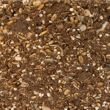 PECKIT Dziobak dla kur kamień do dziobania z minerałami, wapniem 4 kg