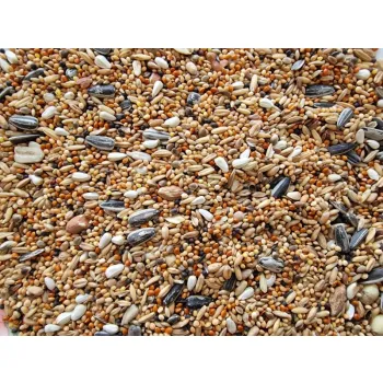 Versele Laga Parakeet Classic 1kg pokarm dla średnich papug rozważąny