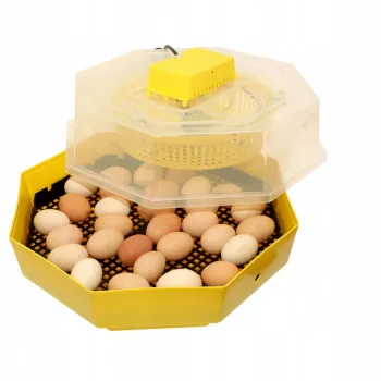 Inkubator do wylęgu jaj iBator Home 60 CLEO5