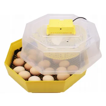 Inkubator do wylęgu jaj iBator Home 60 CLEO5