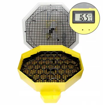 Inkubator do wylęgu jaj iBator Home 60 CLEO5