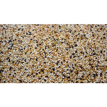 Karma dla papug Zeberka, Amadyna, Faliste 25kg