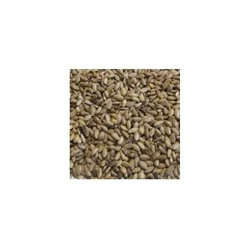 Ostropest plamisty dla gołębi, drobiu, kur,, papug, 1kg